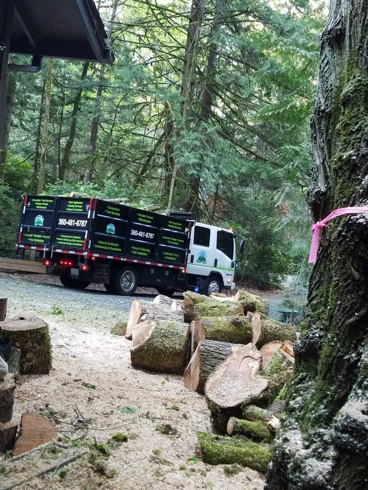 Trusted lawn mowing service in Shelton, WA by Flores Landscaping & Tree Service