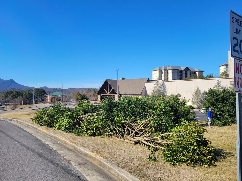 Custom landscaping services experts serving Sevierville, TN - Flores Landscaping and Cleaning Services