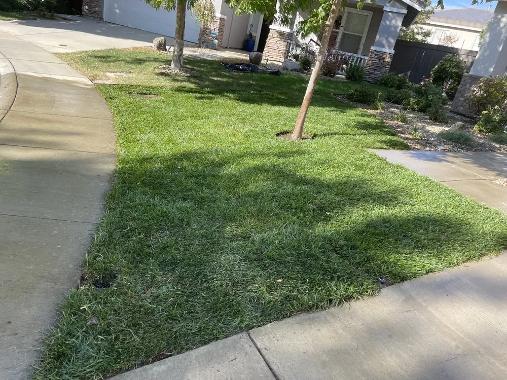 Affordable landscaping services experts serving Sacramento, CA - Flores Landscaping And Design
