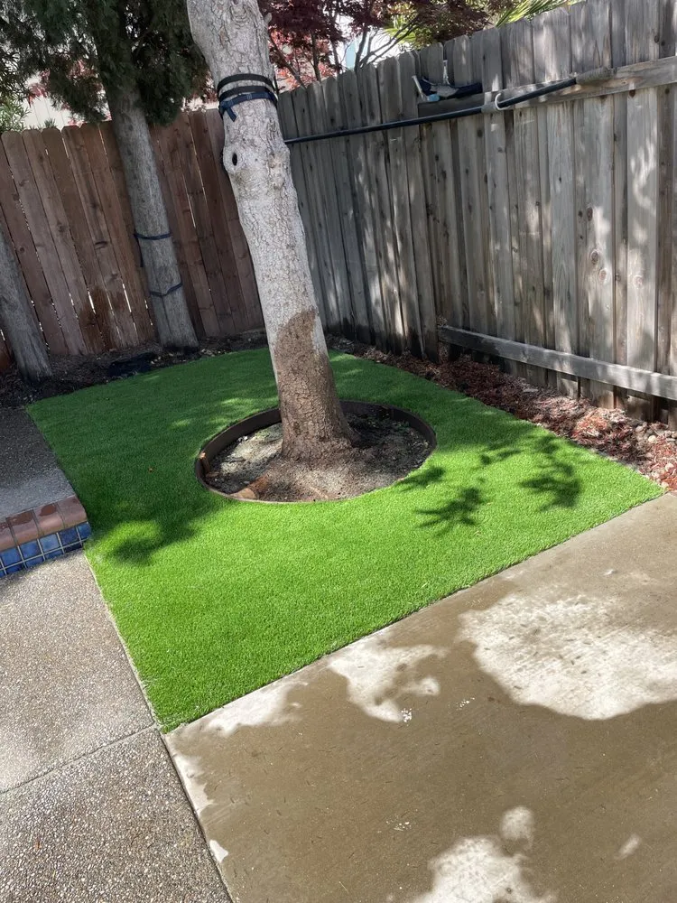 Affordable landscaping services in Sacramento, CA by Flores Landscaping And Design