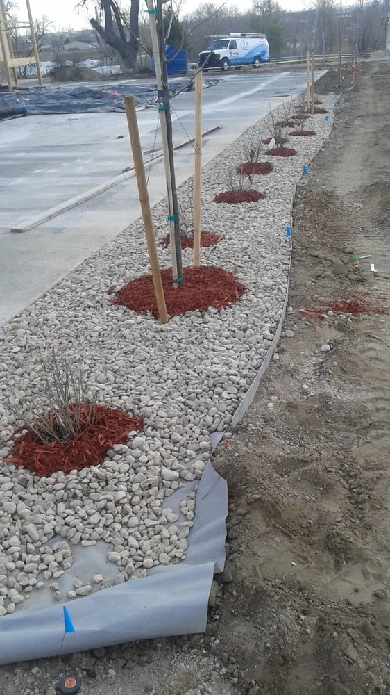 Top-rated lawn care service for beautiful yards in Longmont, CO by Flores Landscaping and Maintenance