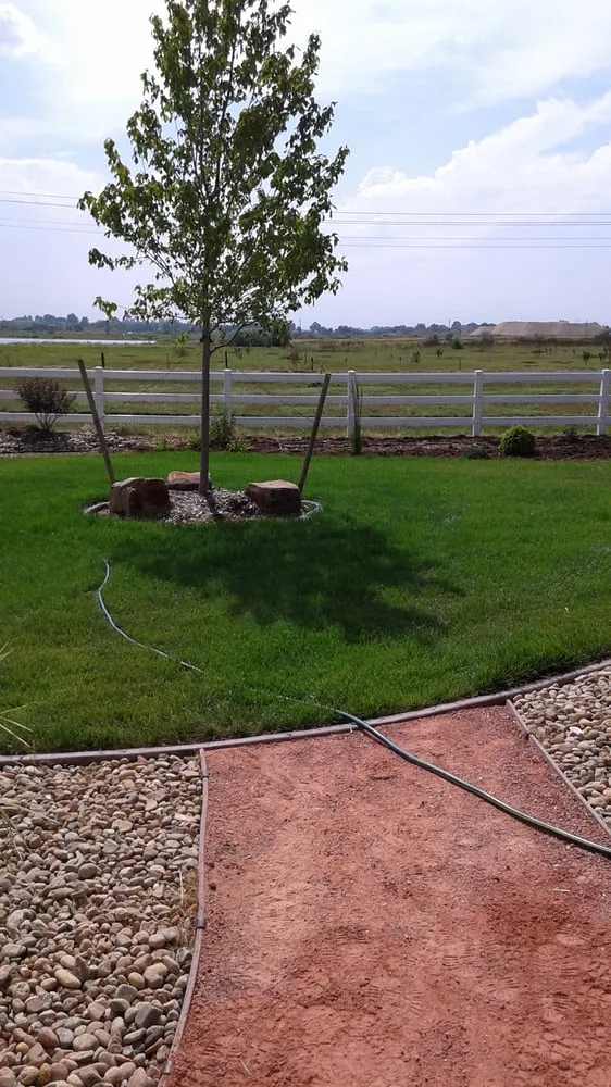 Top-rated yard cleanup service for beautiful yards across Longmont, CO - Flores Landscaping and Maintenance
