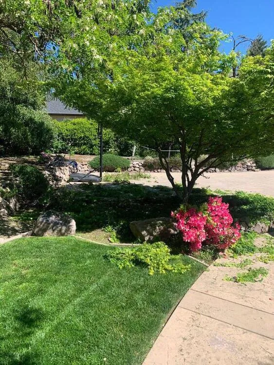 Local landscape design in Pittsburg, CA - Flores Landscaping And Maintenence