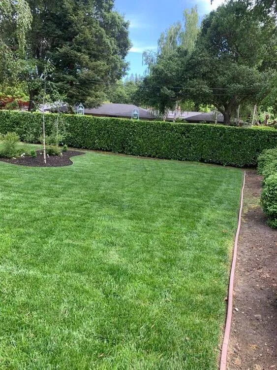 Affordable garden landscaping with custom design across Pittsburg, CA - Flores Landscaping And Maintenence