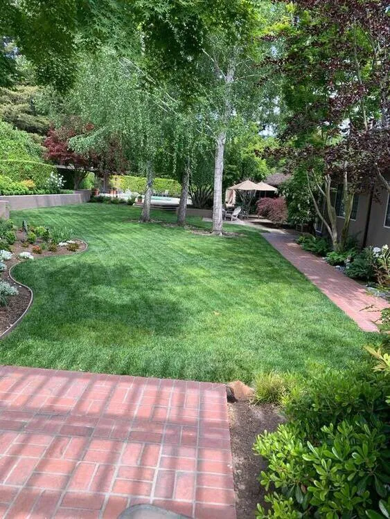 Local outdoor landscaping experts serving Pittsburg, CA - Flores Landscaping And Maintenence