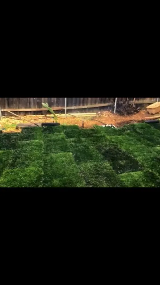 Top-rated garden landscaping with custom design across Pittsburg, CA - Flores Landscaping And Maintenence