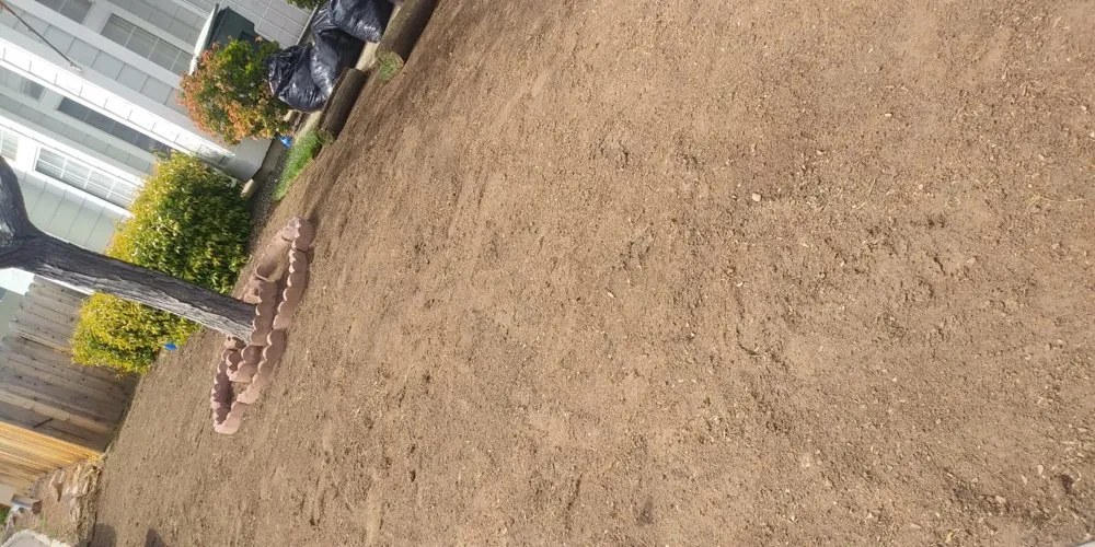 Local outdoor landscaping in Pittsburg, CA by Flores Landscaping And Maintenence