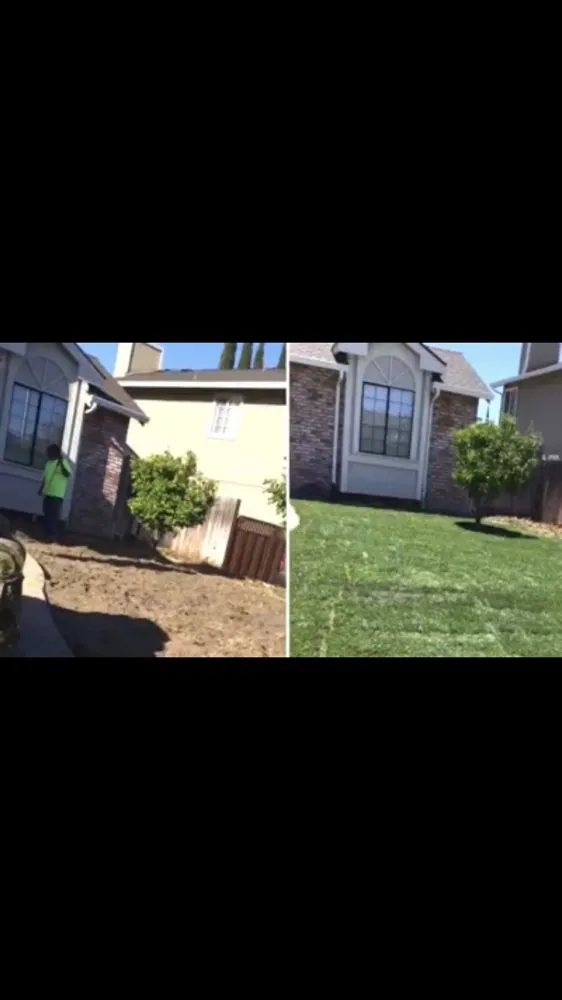 Affordable residential landscaping in Pittsburg, CA - Flores Landscaping And Maintenence