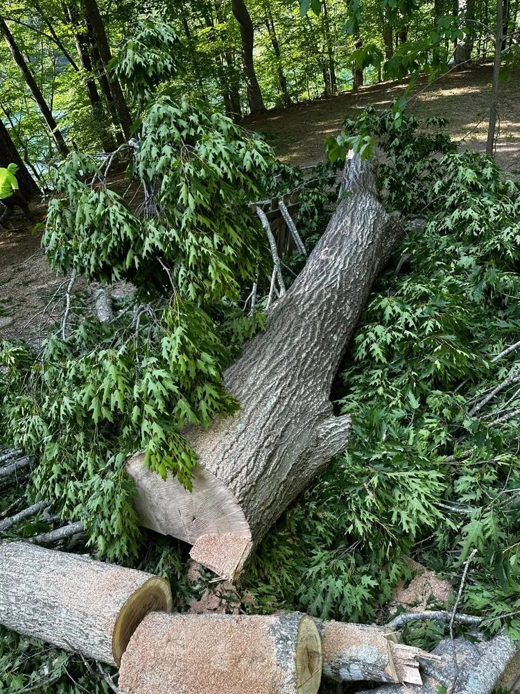 Top-rated landscape design experts serving Durham, NC - Flores Landscaping and Tree Service