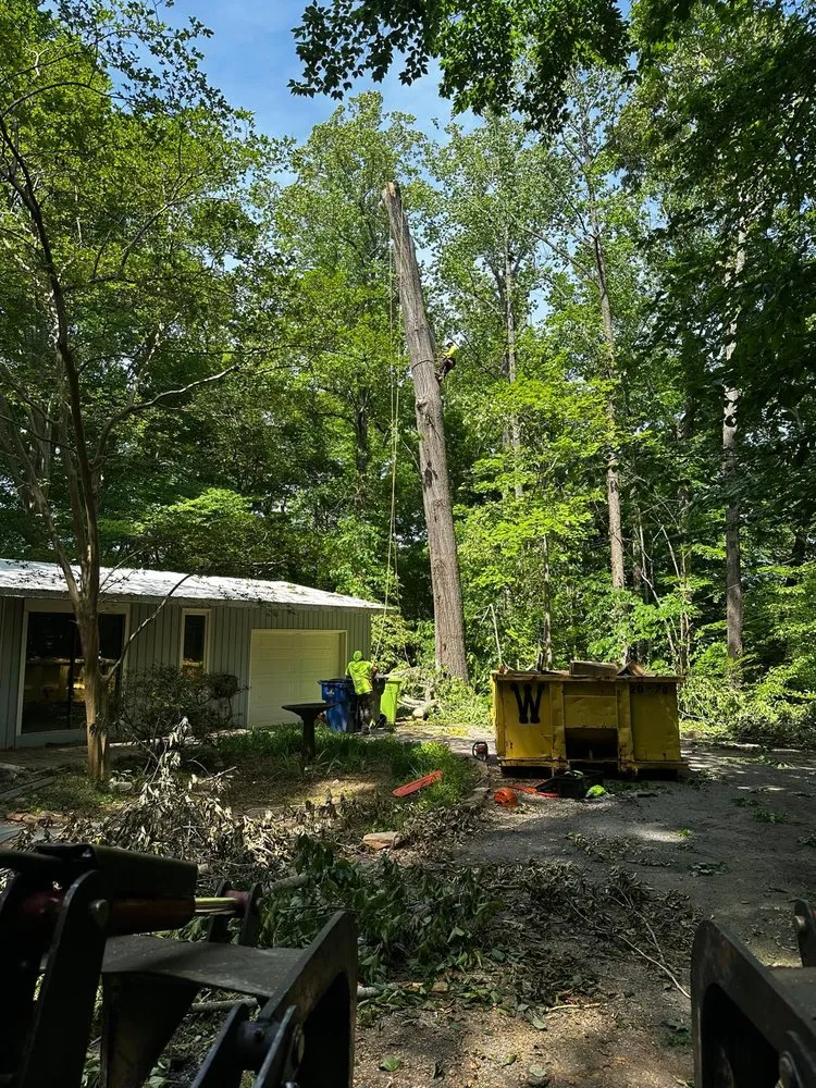 Custom lawn care service in Durham, NC - Flores Landscaping and Tree Service