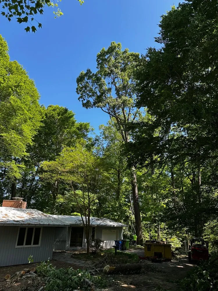 Expert landscape installation in Durham, NC by Flores Landscaping and Tree Service