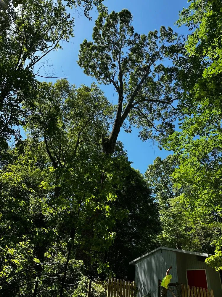 Local garden landscaping in Durham, NC by Flores Landscaping and Tree Service