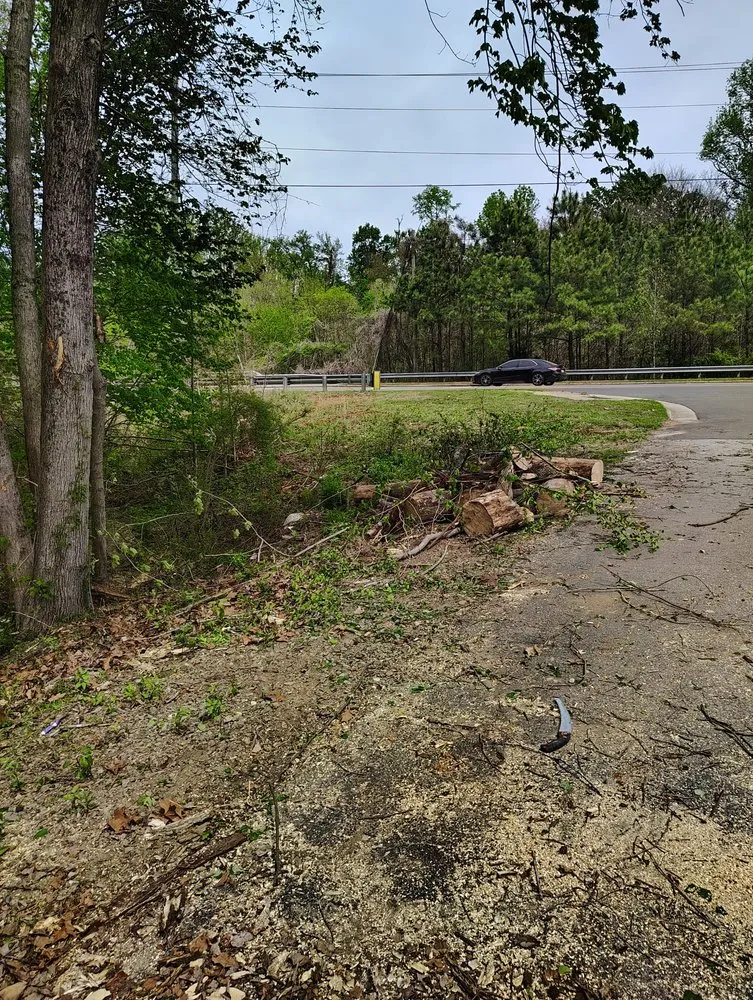 Local residential landscaping in Durham, NC - Flores Landscaping and Tree Service