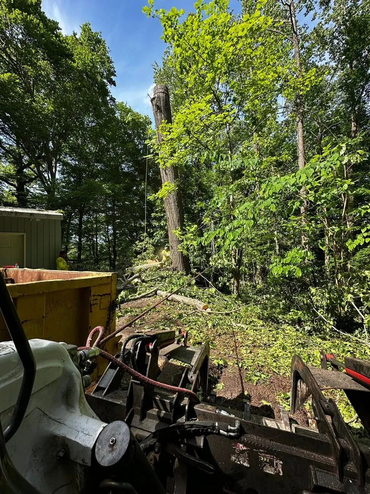 Top-rated landscape design in Durham, NC by Flores Landscaping and Tree Service