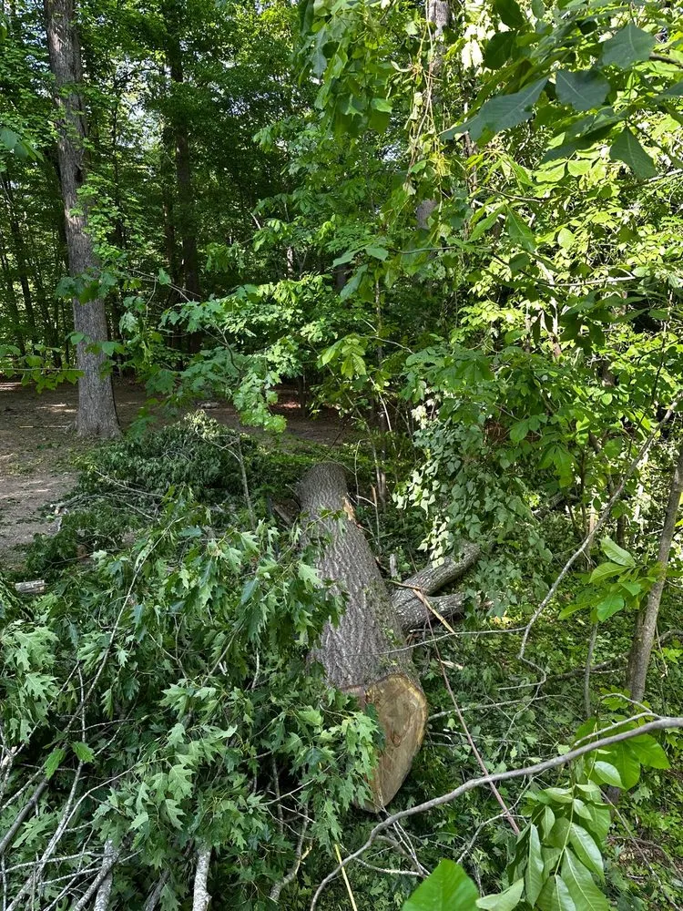 Trusted lawn care service experts serving Durham, NC - Flores Landscaping and Tree Service