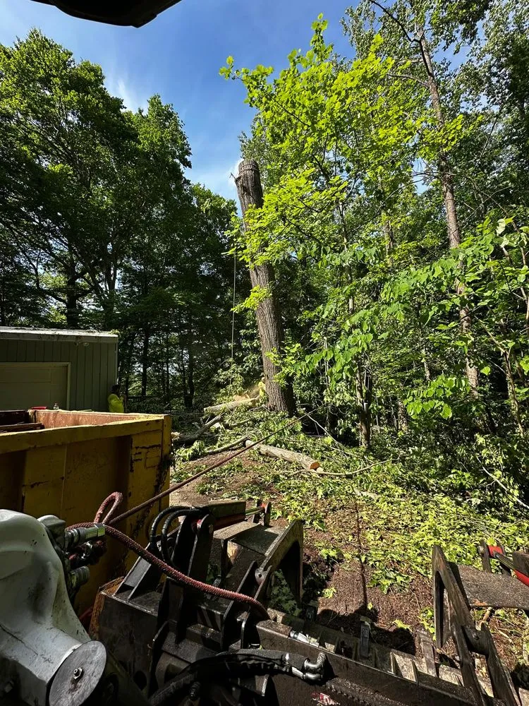 Local landscape installation in Durham, NC - Flores Landscaping and Tree Service