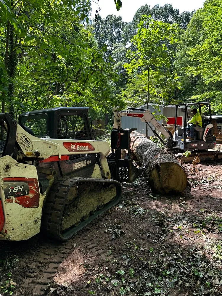 Professional lawn care service in Durham, NC - Flores Landscaping and Tree Service