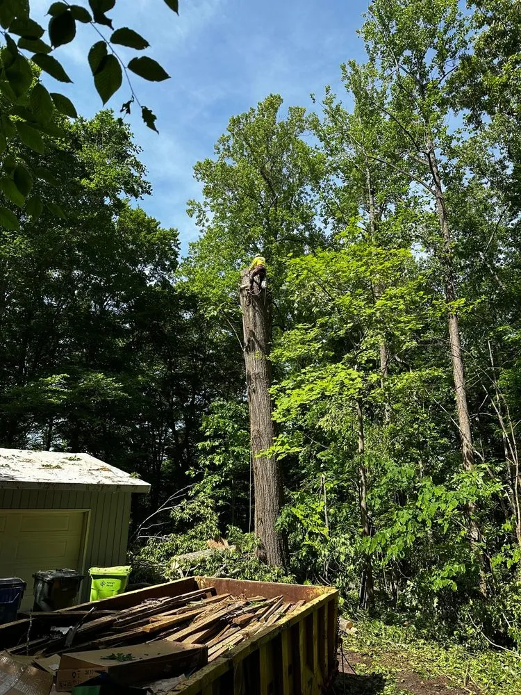 Expert lawn care service experts serving Durham, NC - Flores Landscaping and Tree Service