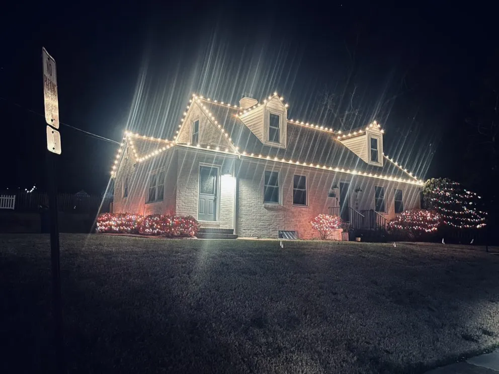 Trusted yard cleanup service in Annapolis, MD - Flores Landscaping