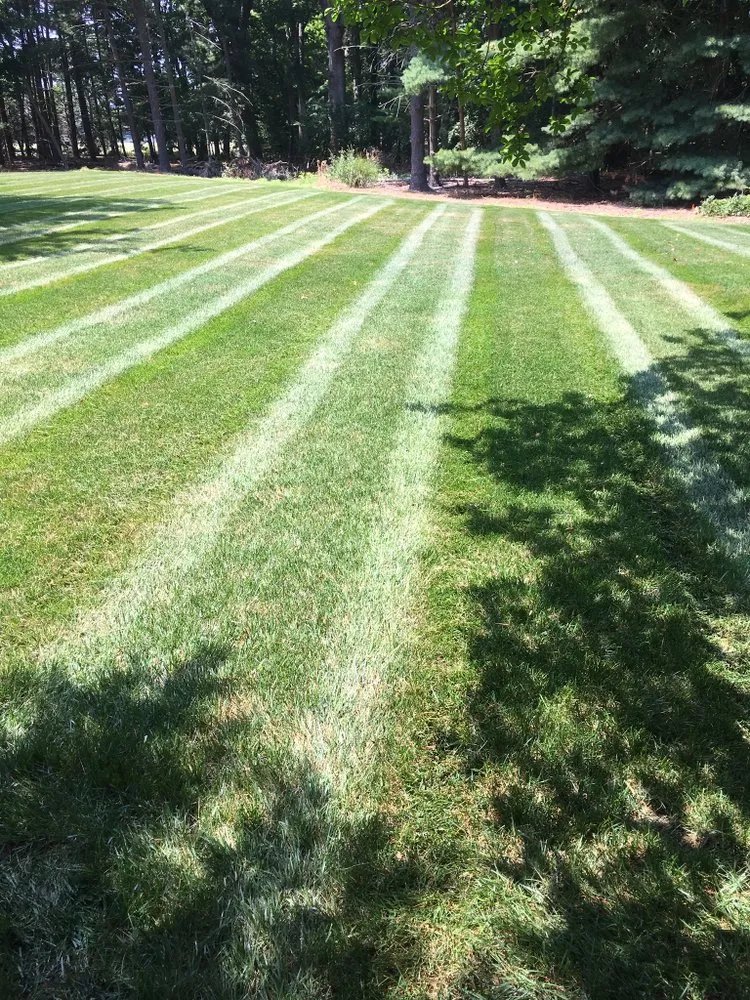 Trusted lawn care service for residential properties in Annapolis, MD by Flores Landscaping