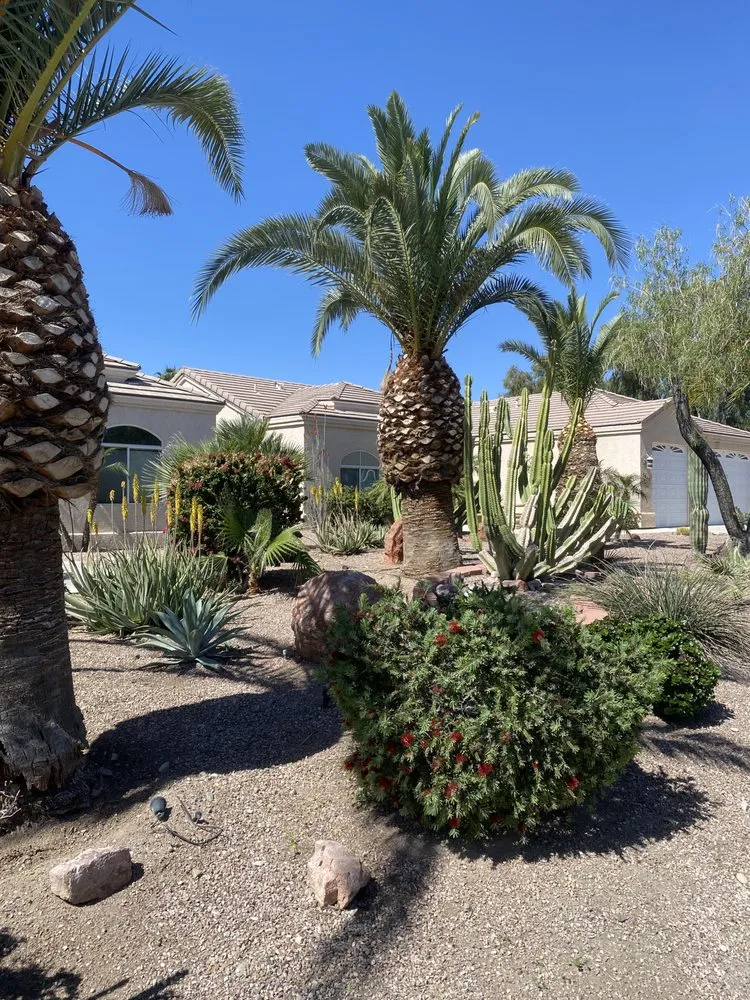 Trusted lawn mowing service experts serving Bullhead City, AZ - Flores Landscaping