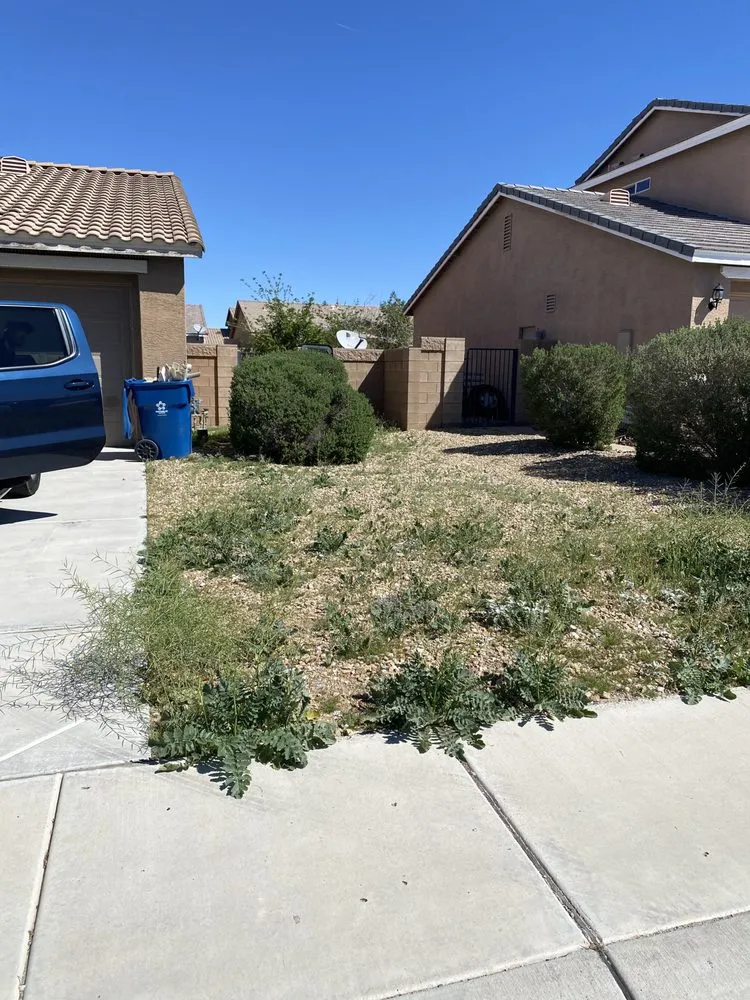 Trusted lawn care service experts serving Bullhead City, AZ - Flores Landscaping