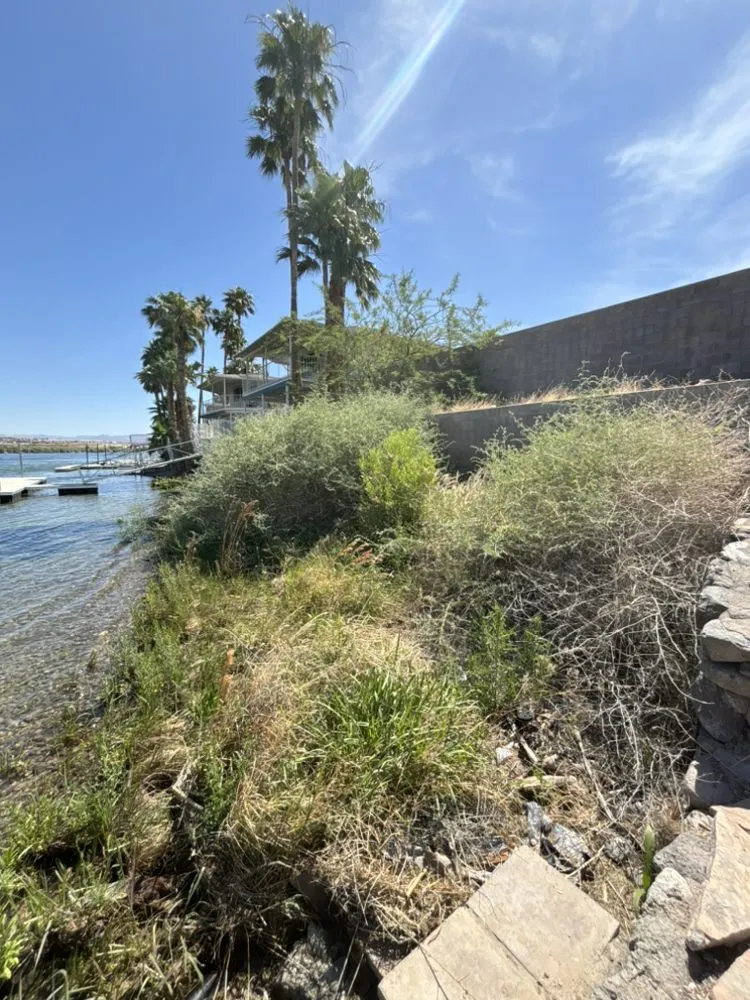 Expert lawn care service for homes across Bullhead City, AZ - Flores Landscaping