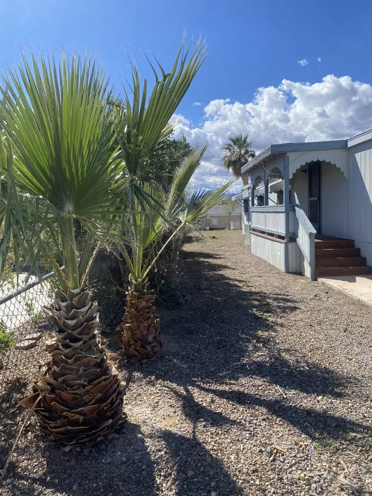 Reliable yard cleanup service in Bullhead City, AZ - Flores Landscaping