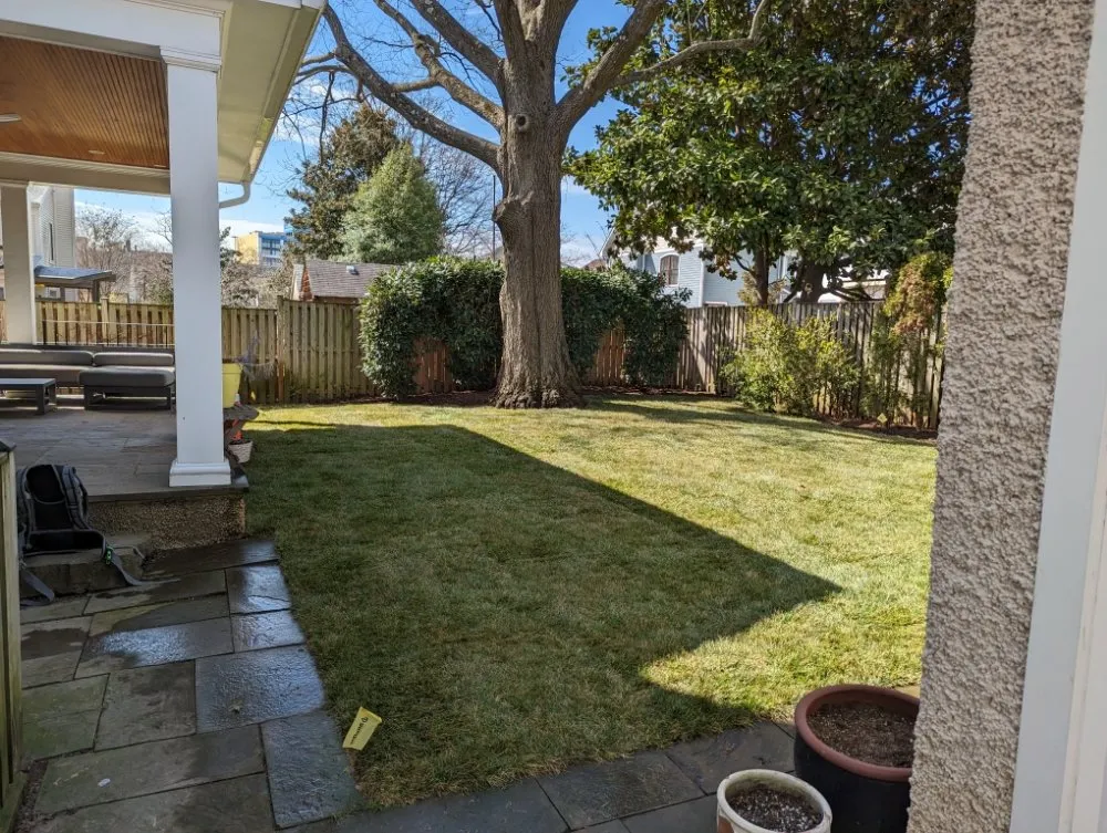 Expert lawn care service experts serving Silver Spring, MD - Flores Landscaping Contractors