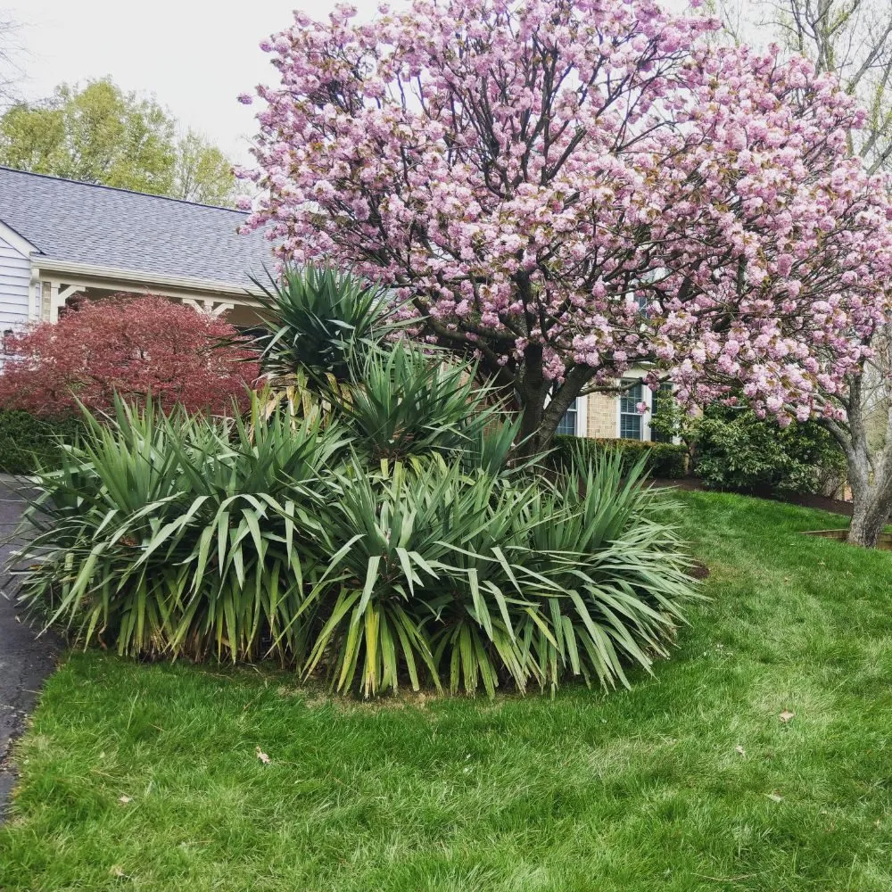 Affordable garden landscaping experts serving Silver Spring, MD - Flores Landscaping Contractors