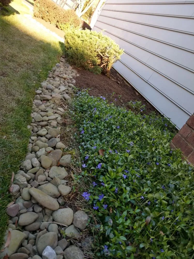 Affordable lawn care service in Silver Spring, MD by Flores Landscaping Contractors