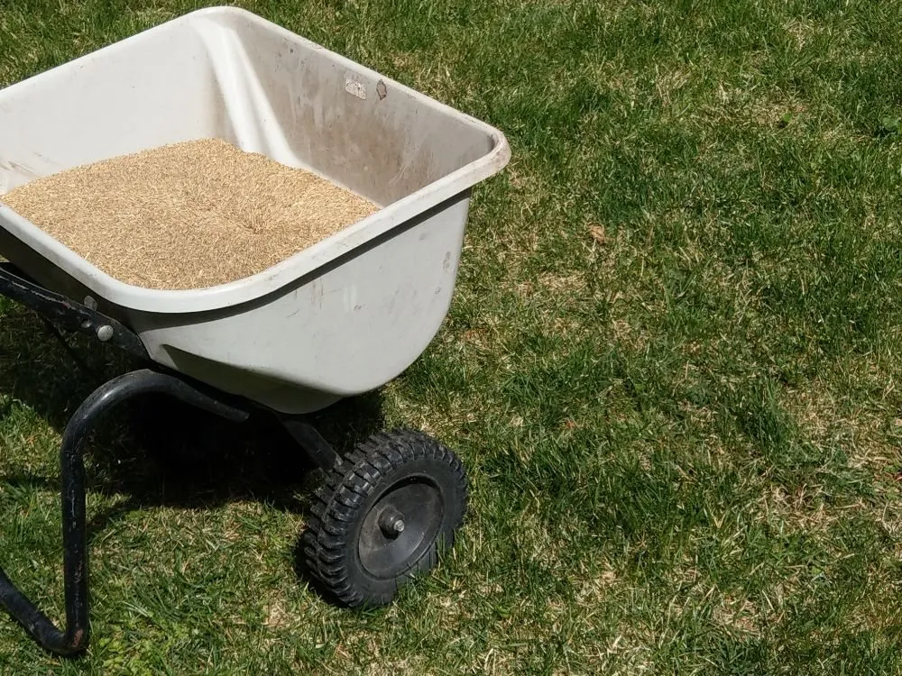 Top-rated outdoor landscaping with custom design in Silver Spring, MD by Flores Landscaping Contractors