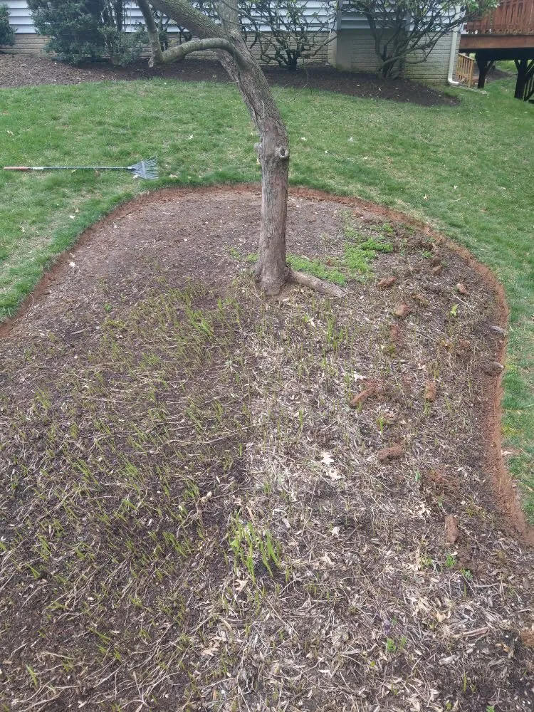 Local lawn care service for residential properties across Silver Spring, MD - Flores Landscaping Contractors