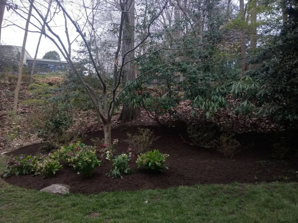 Reliable landscape installation in Silver Spring, MD - Flores Landscaping Contractors
