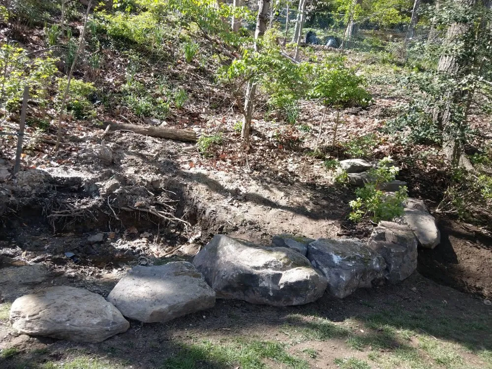 Expert landscape design in Silver Spring, MD - Flores Landscaping Contractors