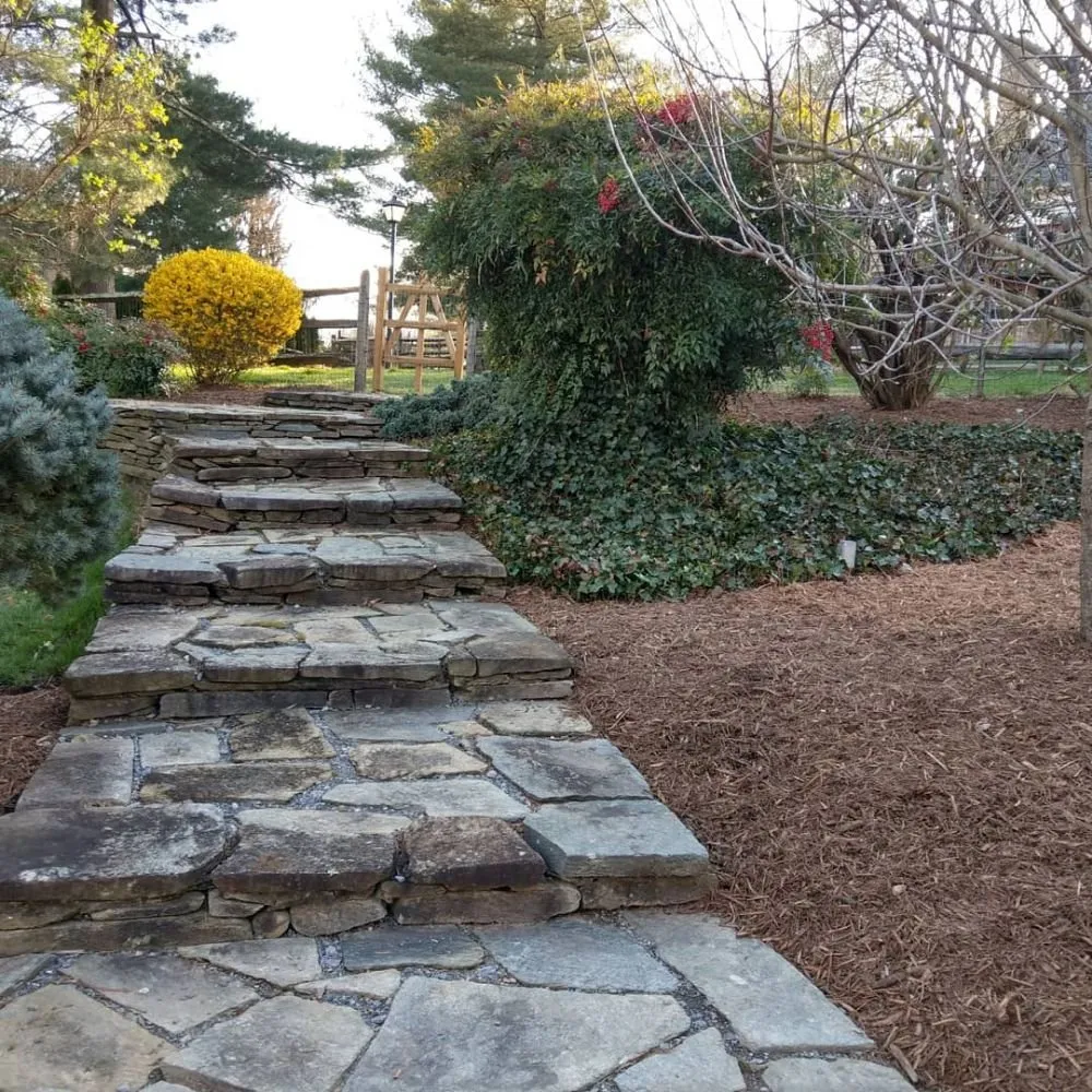 Reliable yard maintenance experts serving Silver Spring, MD - Flores Landscaping Contractors