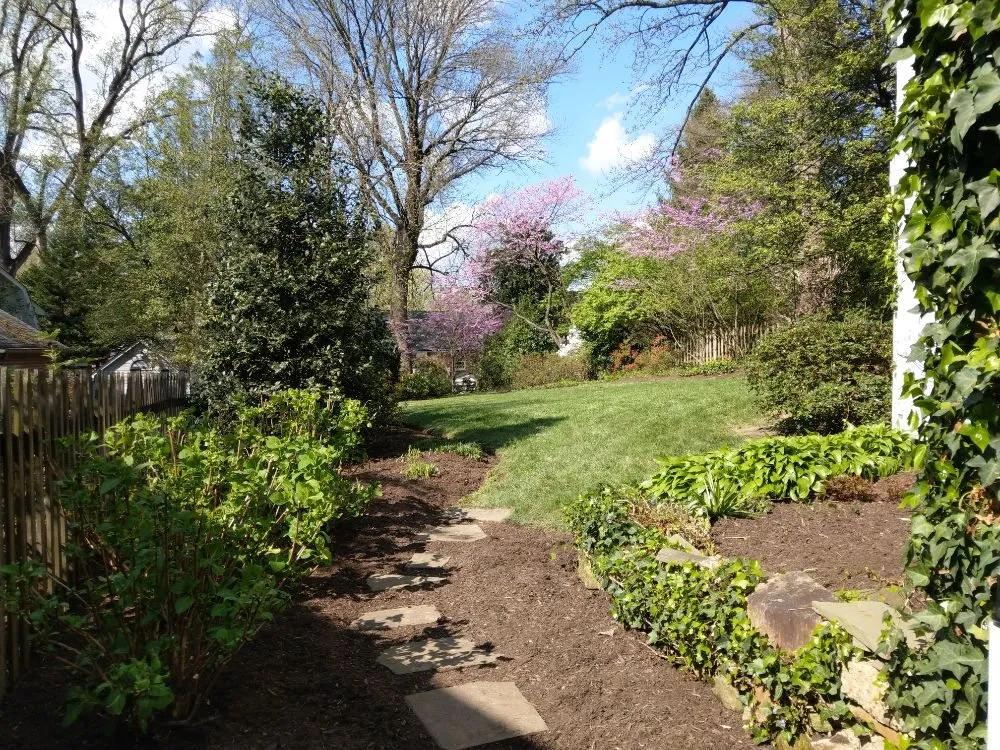 Top-rated landscape design for beautiful yards in Silver Spring, MD by Flores Landscaping Contractors