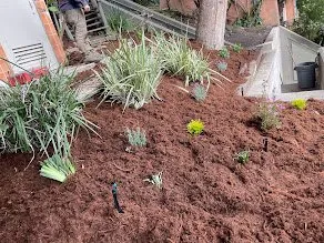 Affordable lawn mowing service in Daly City, CA by Flores Landscaping