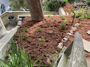 Professional landscaping services with custom design across Daly City, CA - Flores Landscaping