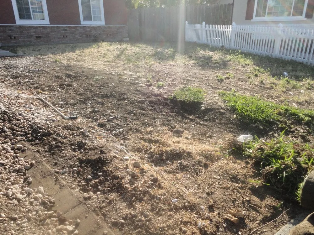 Custom outdoor landscaping for beautiful yards in Daly City, CA by Flores Landscaping