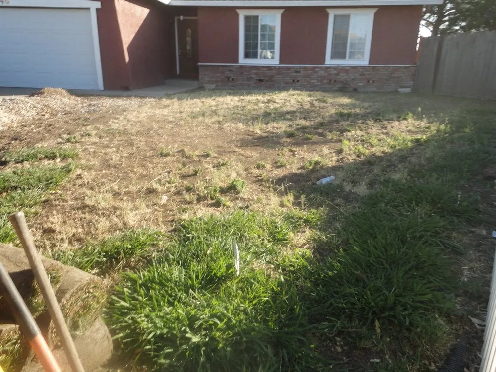 Local yard cleanup service for homes across Daly City, CA - Flores Landscaping