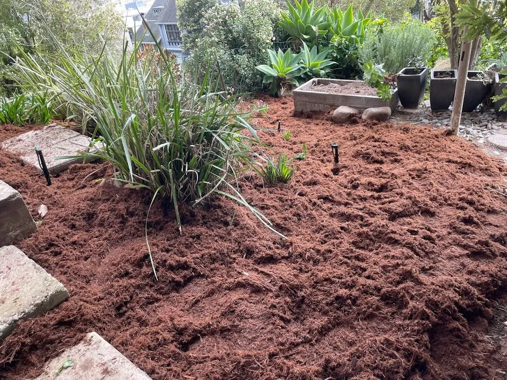 Expert landscaping services in Daly City, CA by Flores Landscaping