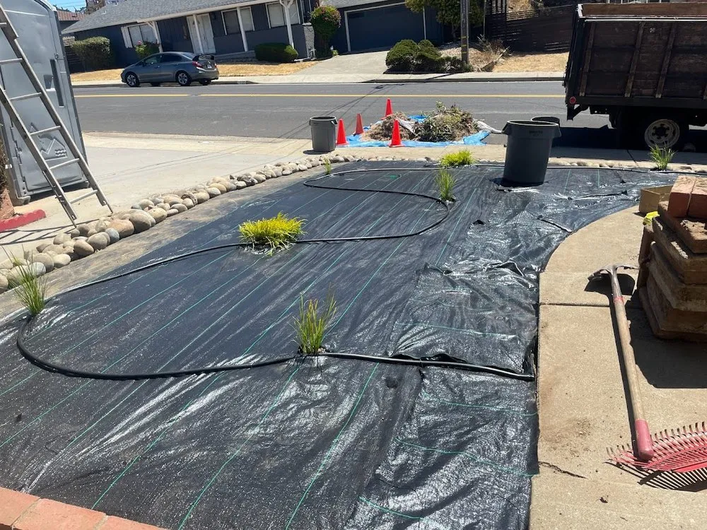 Reliable landscape installation for homes in Daly City, CA by Flores Landscaping