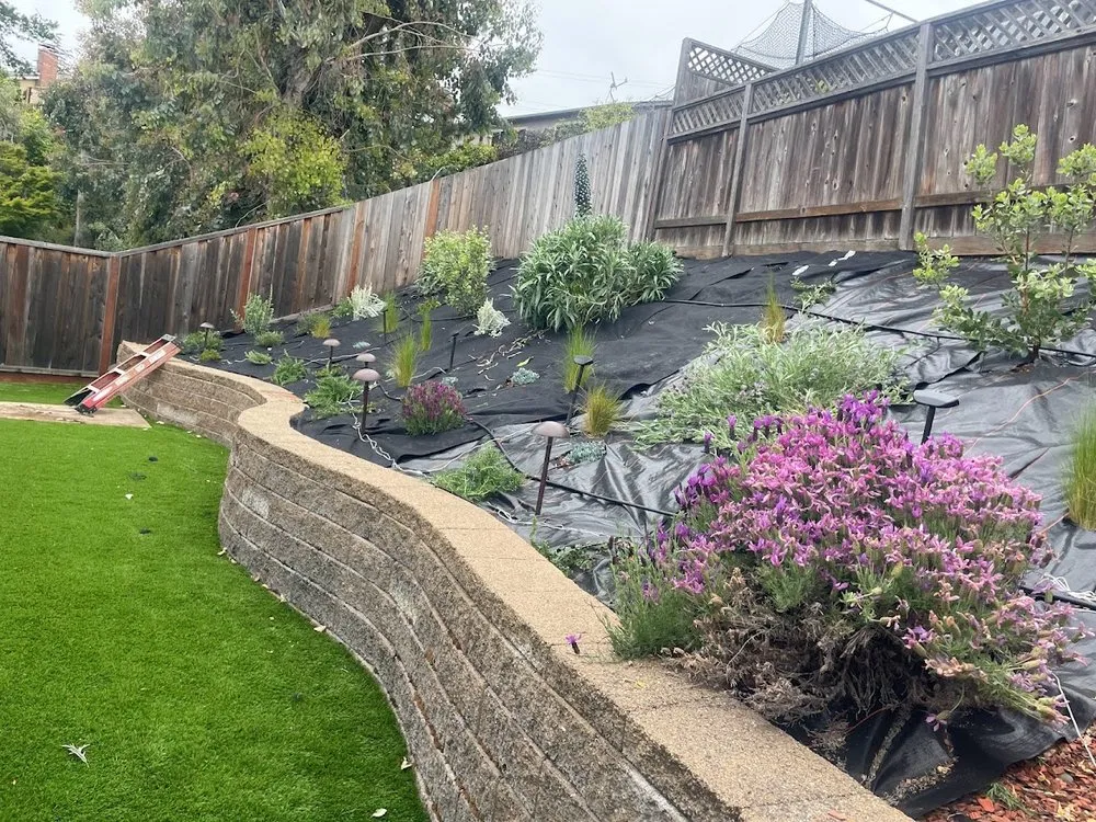 Expert lawn mowing service in Daly City, CA by Flores Landscaping