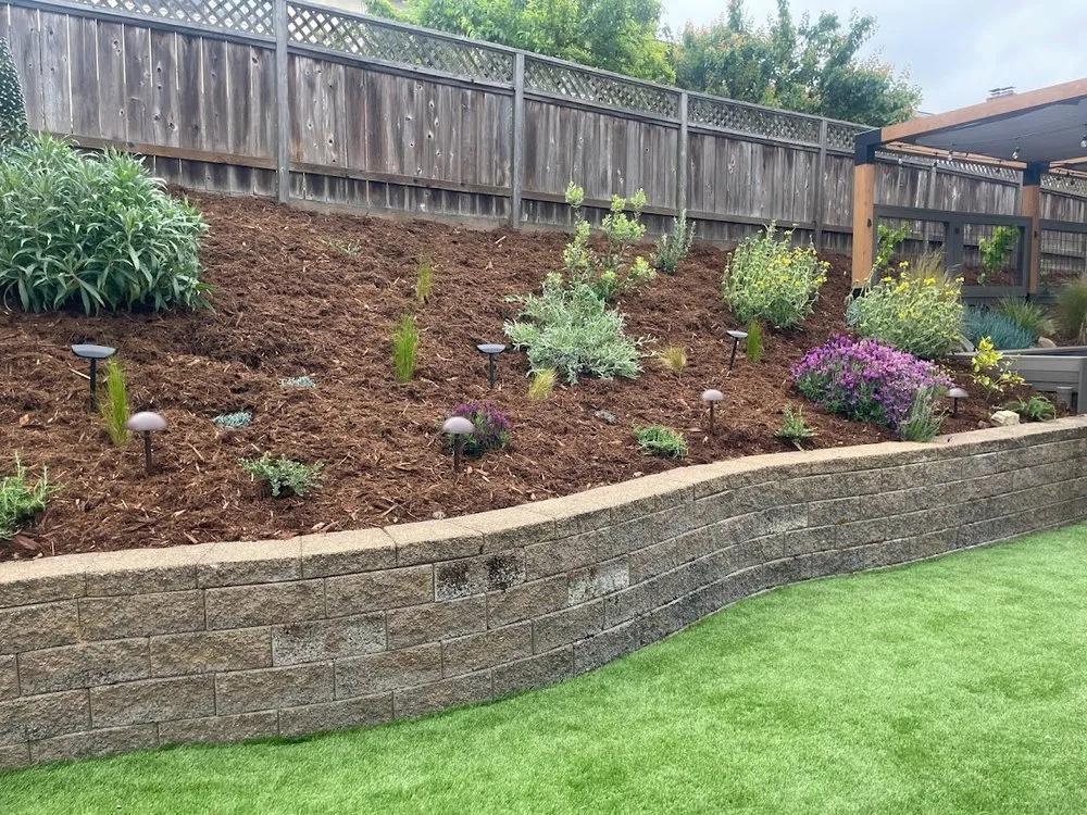 Local yard maintenance for homes across Daly City, CA - Flores Landscaping