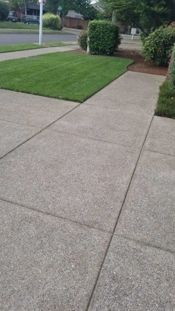Expert lawn care service in Eugene, OR - Flores Landscaping