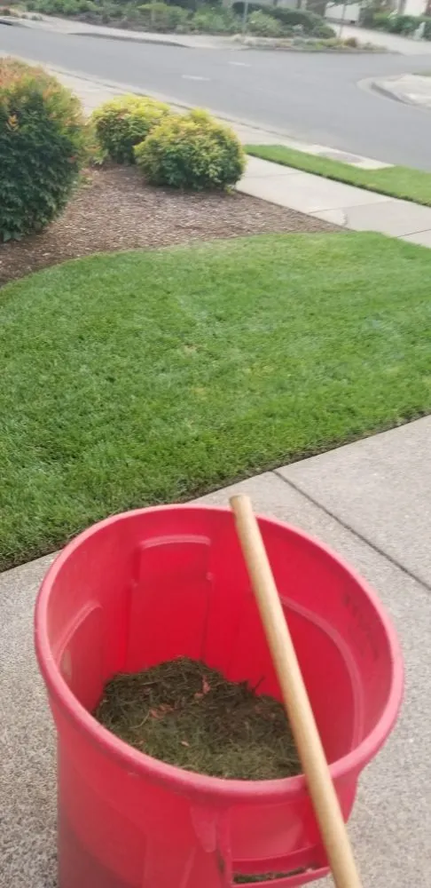 Affordable landscape design in Eugene, OR by Flores Landscaping