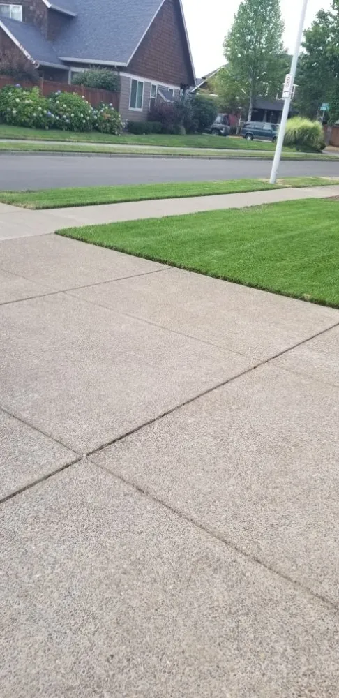 Top-rated residential landscaping for outdoor upgrades in Eugene, OR by Flores Landscaping