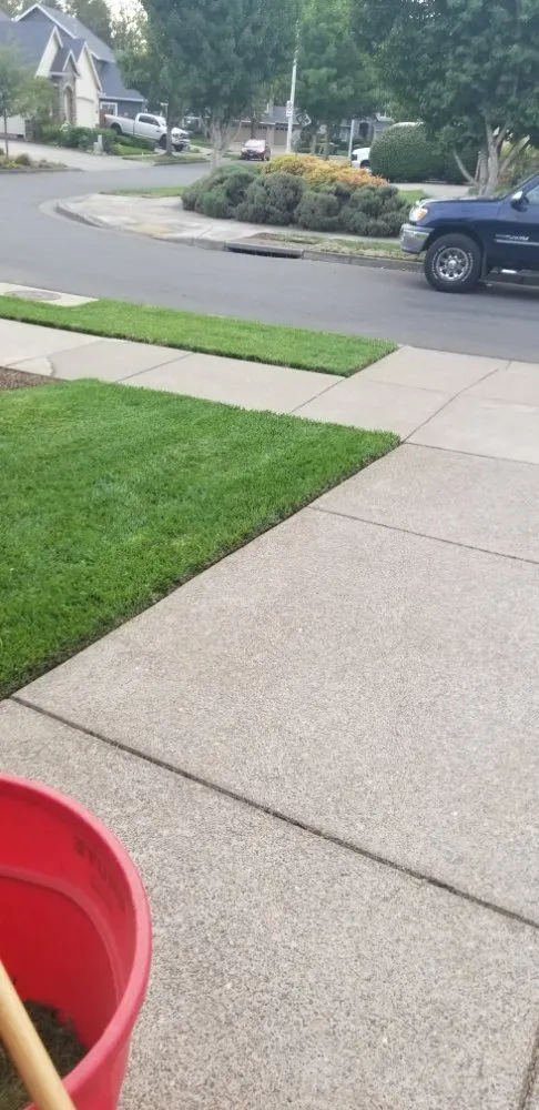 Local yard cleanup service with custom design in Eugene, OR by Flores Landscaping