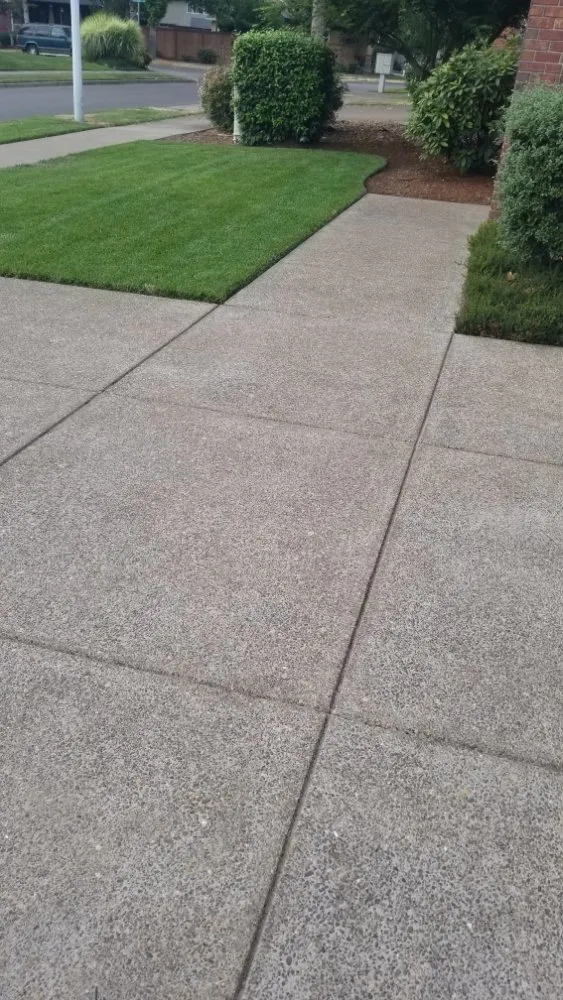 Expert residential landscaping for residential properties across Eugene, OR - Flores Landscaping